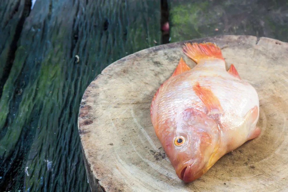 Food News: A Dallas Fishmonger Gives Up on Tilapia, a New Cuban Restaurant and More