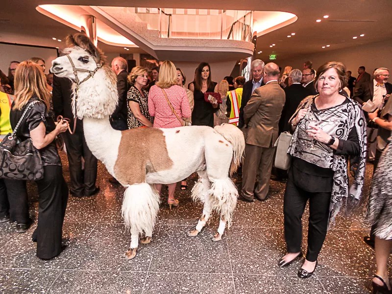 Dallas Preservationists Receive Awards at Restored Statler Hotel, and a Llama Shows Up