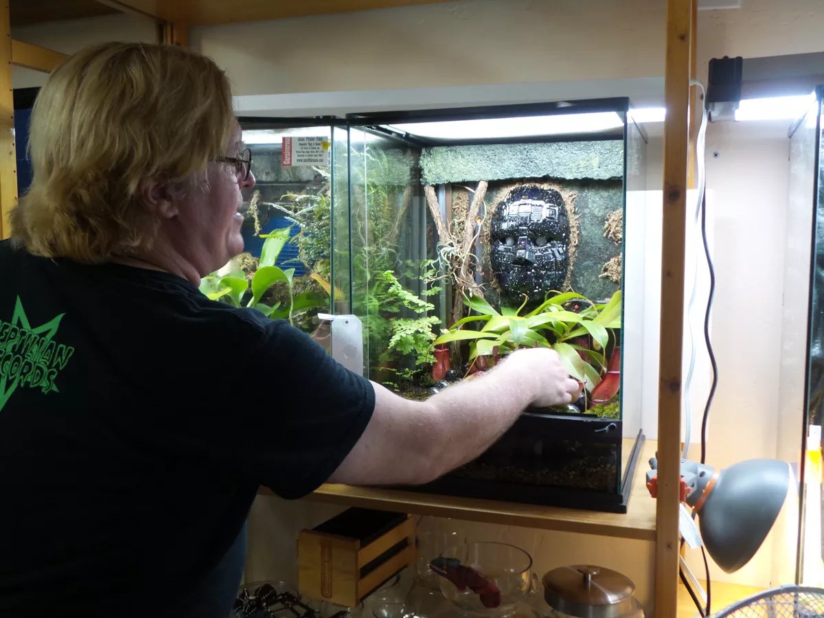 In the Market for a Plant That Eats Meat? Dallas Has Its Own Little Shop of Horrors.