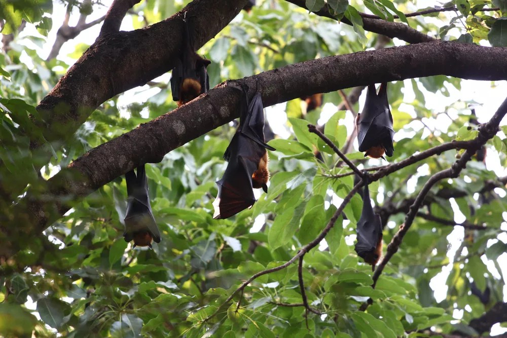 Cheap and Free Events in Dallas This Week