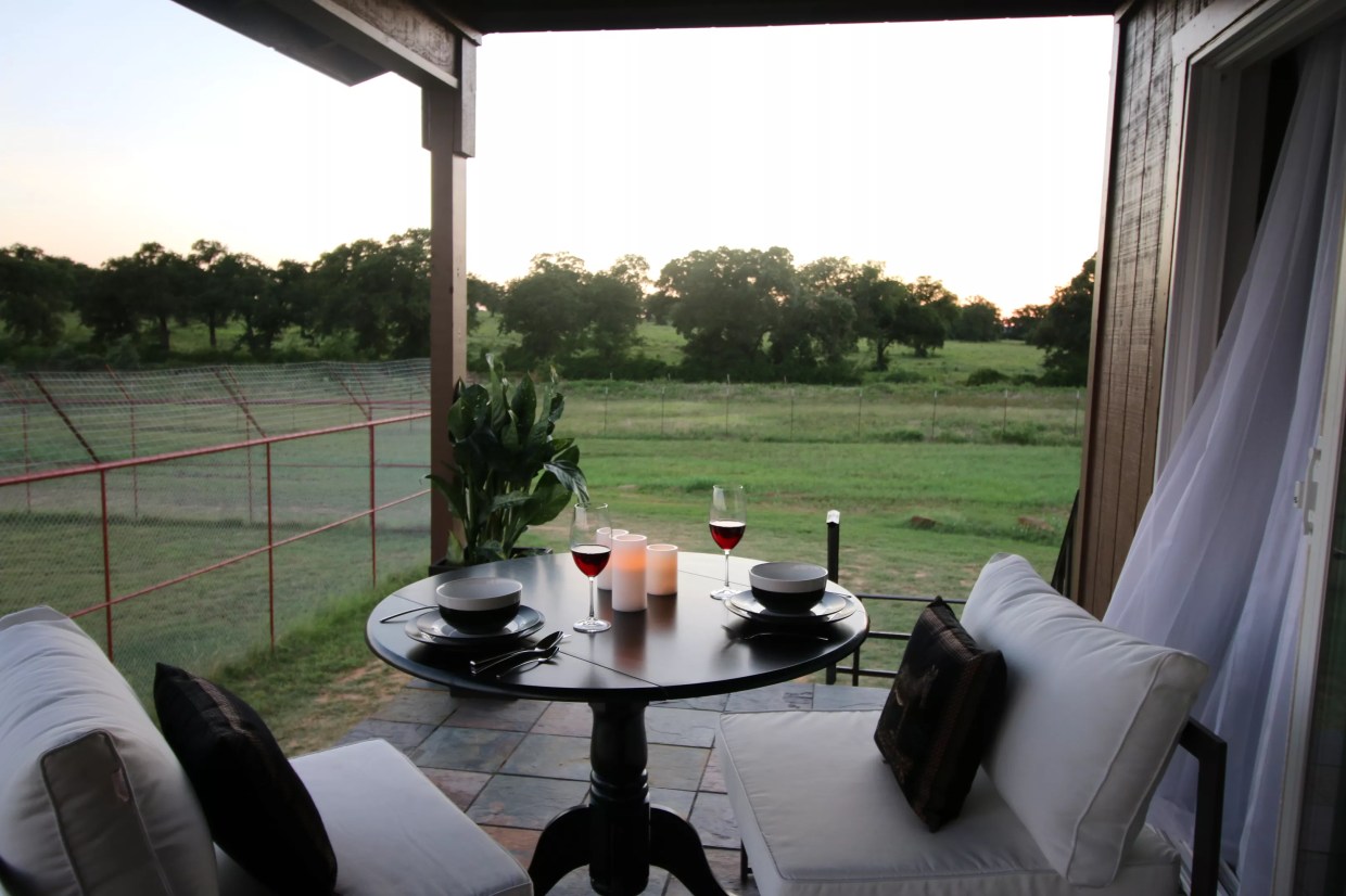 We Stayed in North Texas’ Coolest Hotel Room, 16 Feet Above a Lion Enclosure