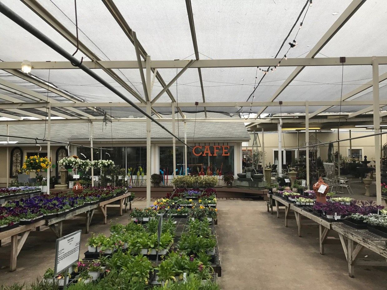 The Sweet Cafe Hidden Inside a North Dallas Garden Shop