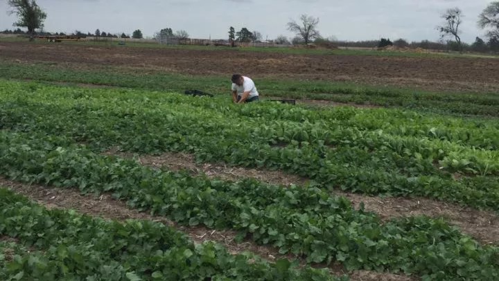 How Dallas Restaurants and Festivals Give Family Farms New Purpose