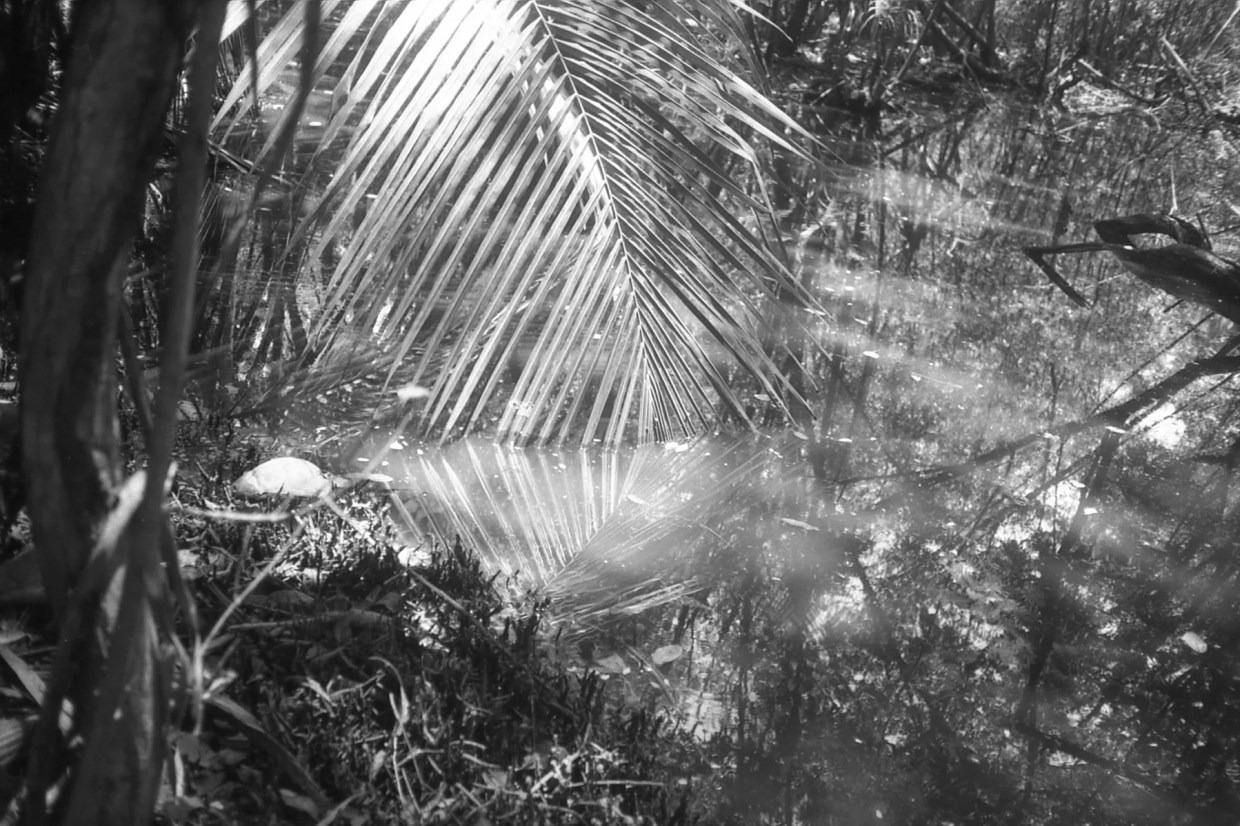 Learn About and Help Puerto Rico by Attending These Dallas Art Events This Month