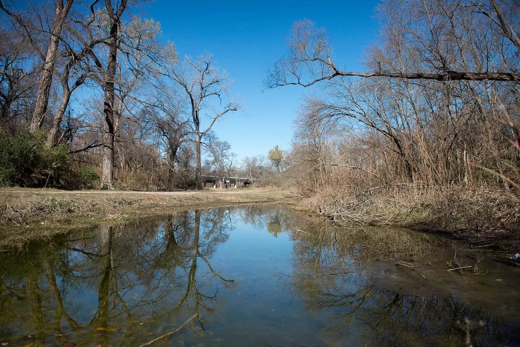 Dead Man’s Creek: A Waterlogged Corpse in East Dallas Keeps His Secrets