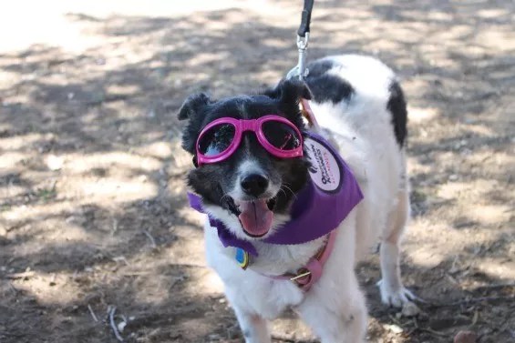 21 Things To Do in Dallas This Week