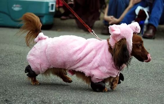 Cheap and Free Things to Do in Dallas This Week