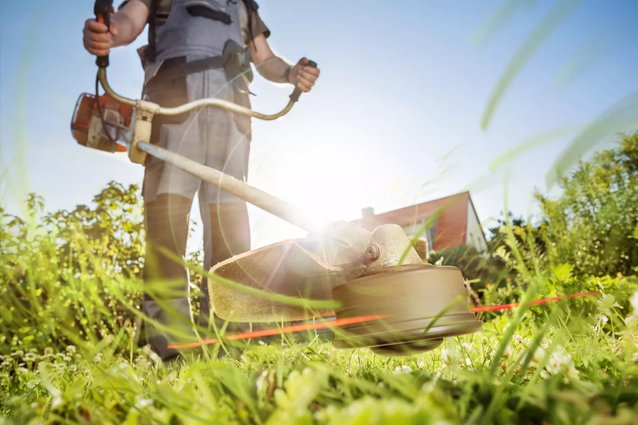 Company Promises to “Take Back Carrollton” from “Illegal Lawn Services”