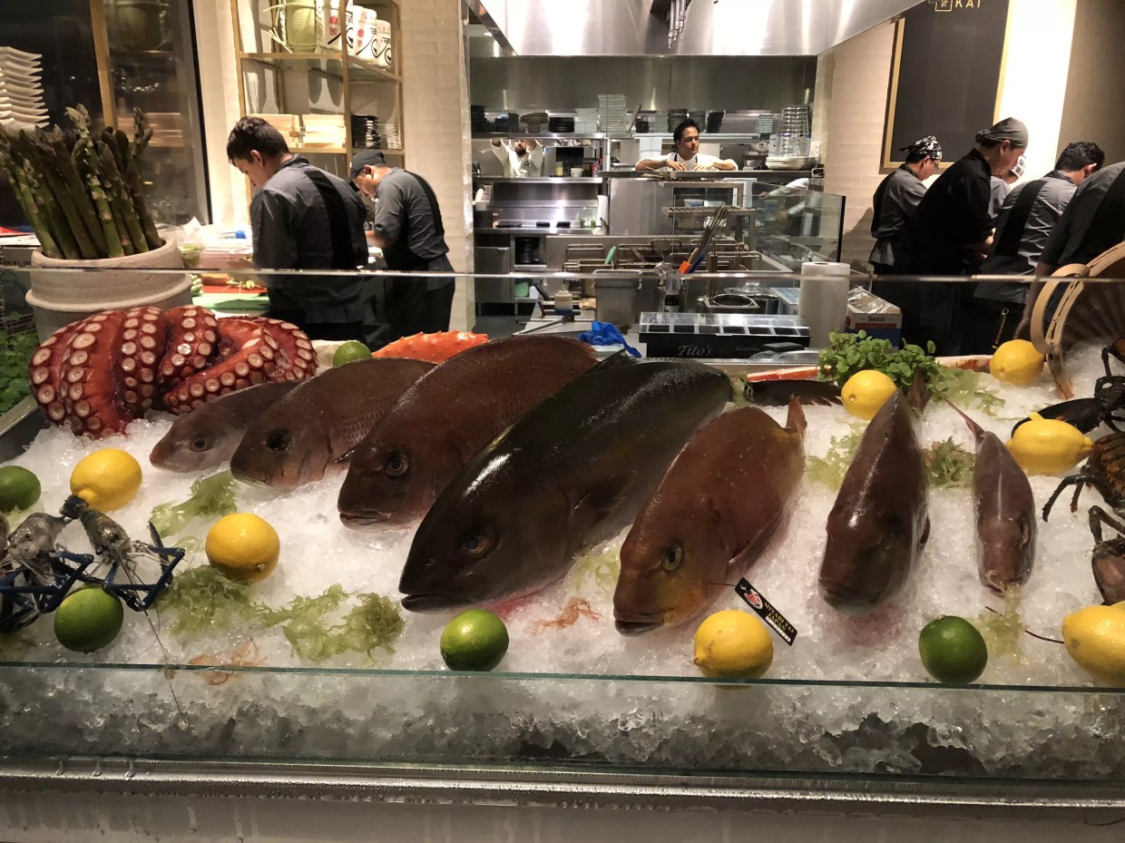 Kai Brings Sushi With Nightclub Vibes to Legacy West