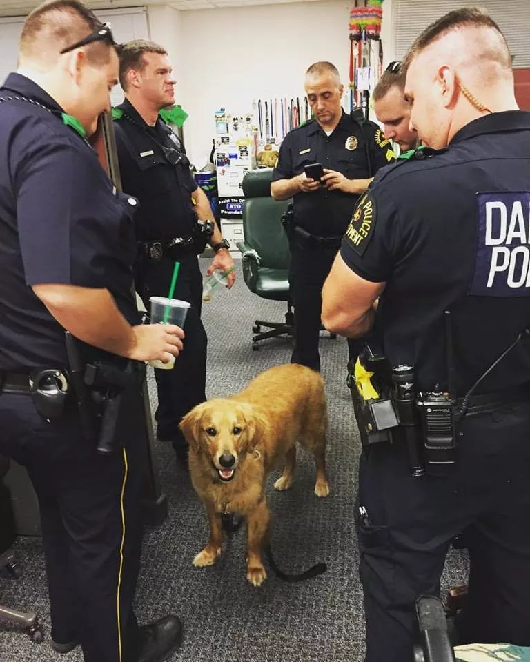 Dallas Police Officer’s Wife Brings Positivity to Police Departments With Dogs