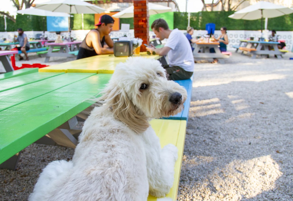 The 10 Best Free and Cheap Events Happening in Dallas This Weekend, Feb. 28 – March 1