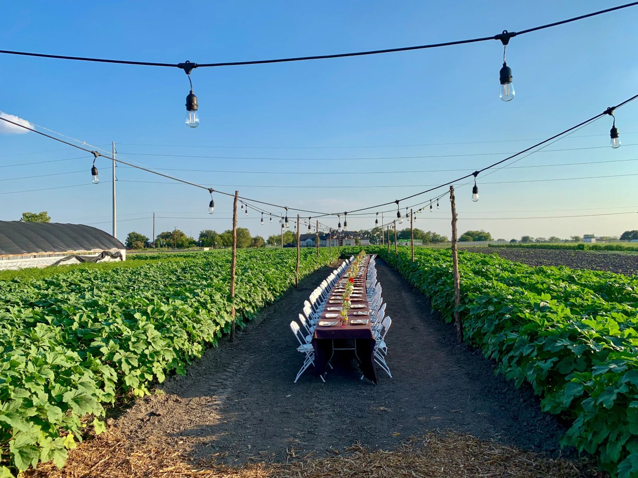 Okrapalooza Takes the Dinner to the Farm