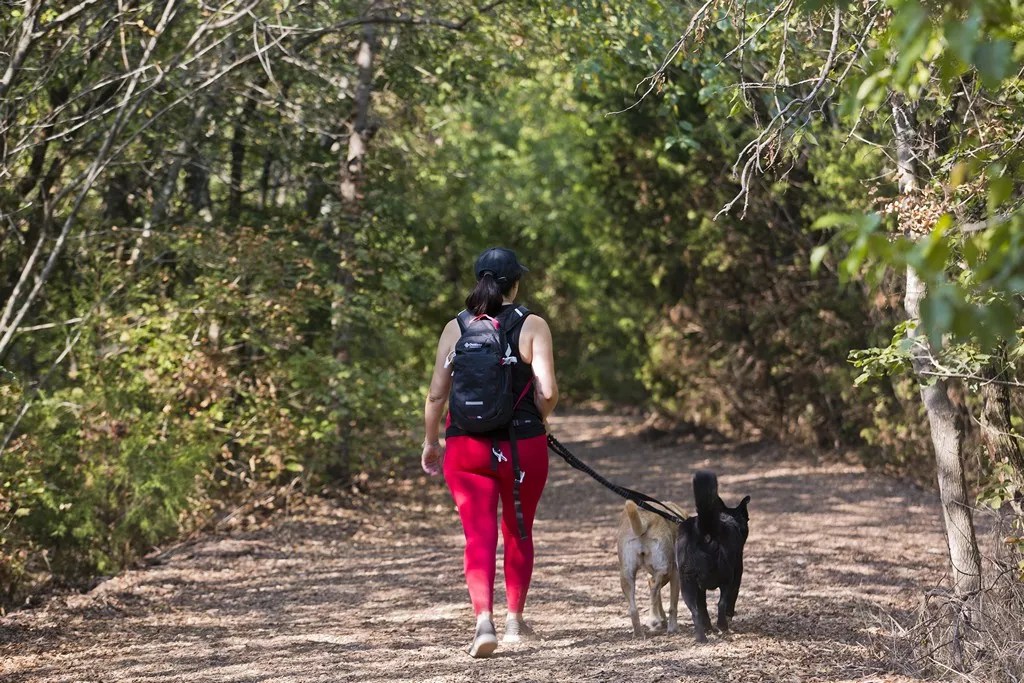 Dallas Shutters Parks for Easter Weekend