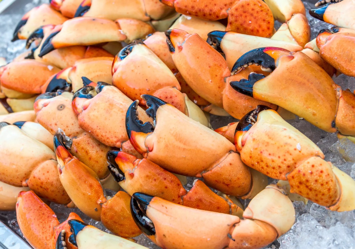 Feeling Crabby? The Best Time of the Year Can Make You Feel Better