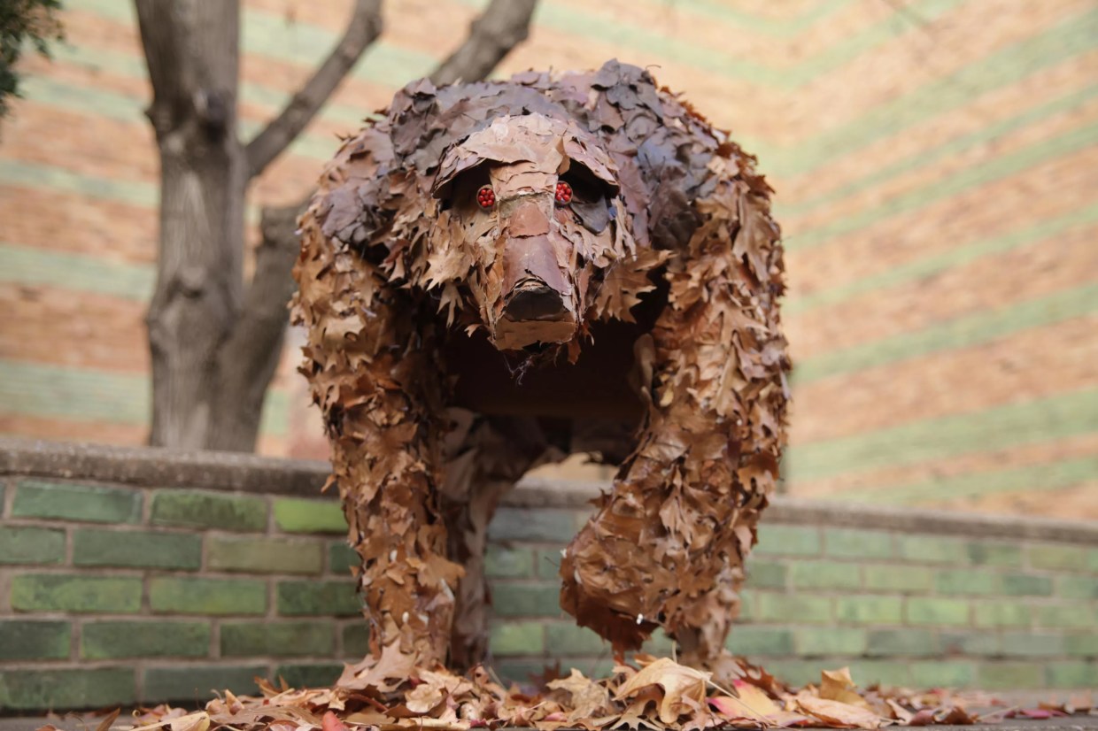 A Bear Made Out of Leaves Appeared at the Brookhaven Campus This Week