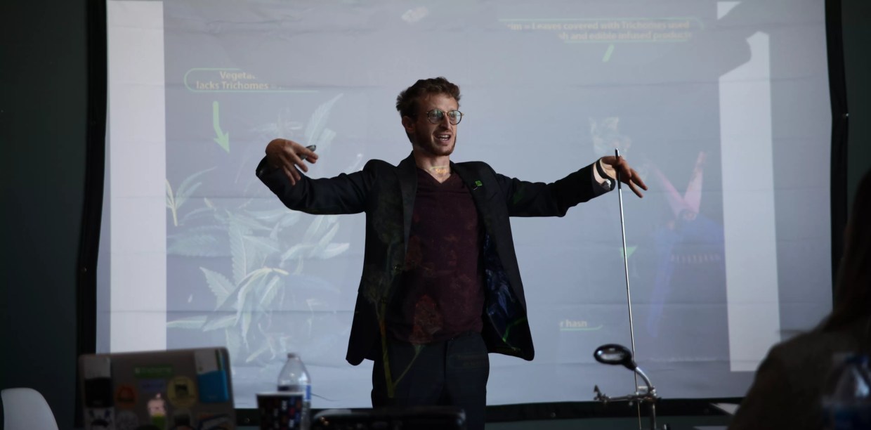 We Took a Crash Course in Cannabis and Realized We Knew Nothing