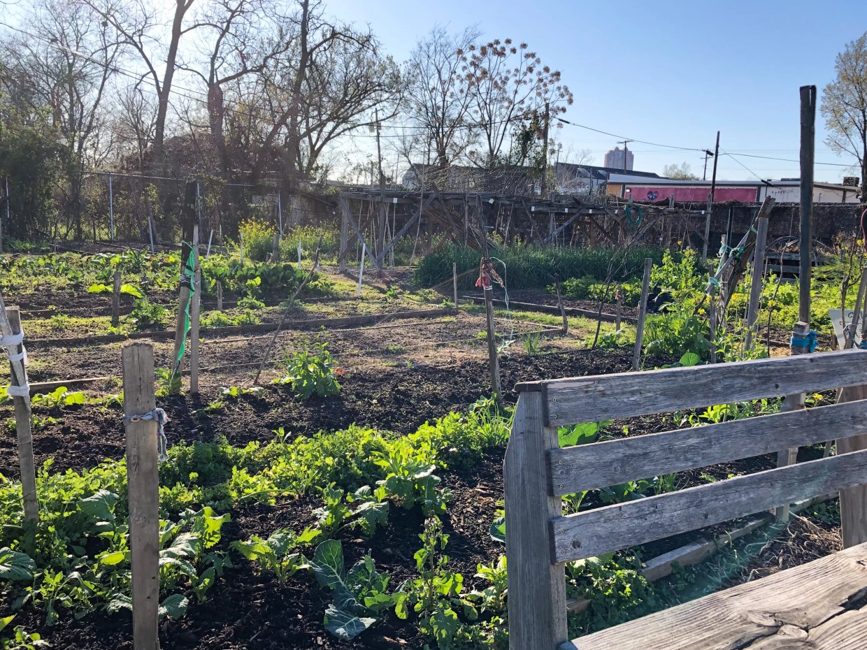 The New Roots Community Garden Gives Refugees and Immigrants a Place to Call Home