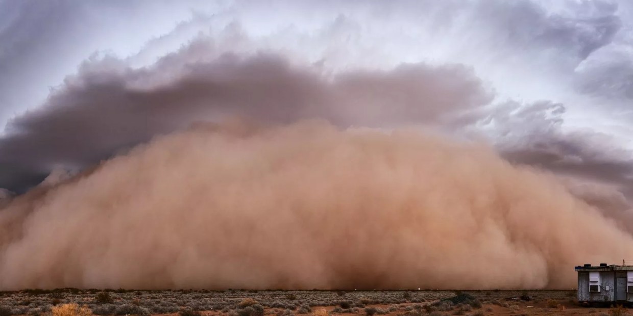Your Saharan Dust Plume Weekend Guide: Movies, Cocktails and Food