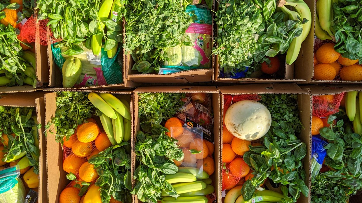 Grassroots Organizations Come Together To Provide Food to Dallas Residents