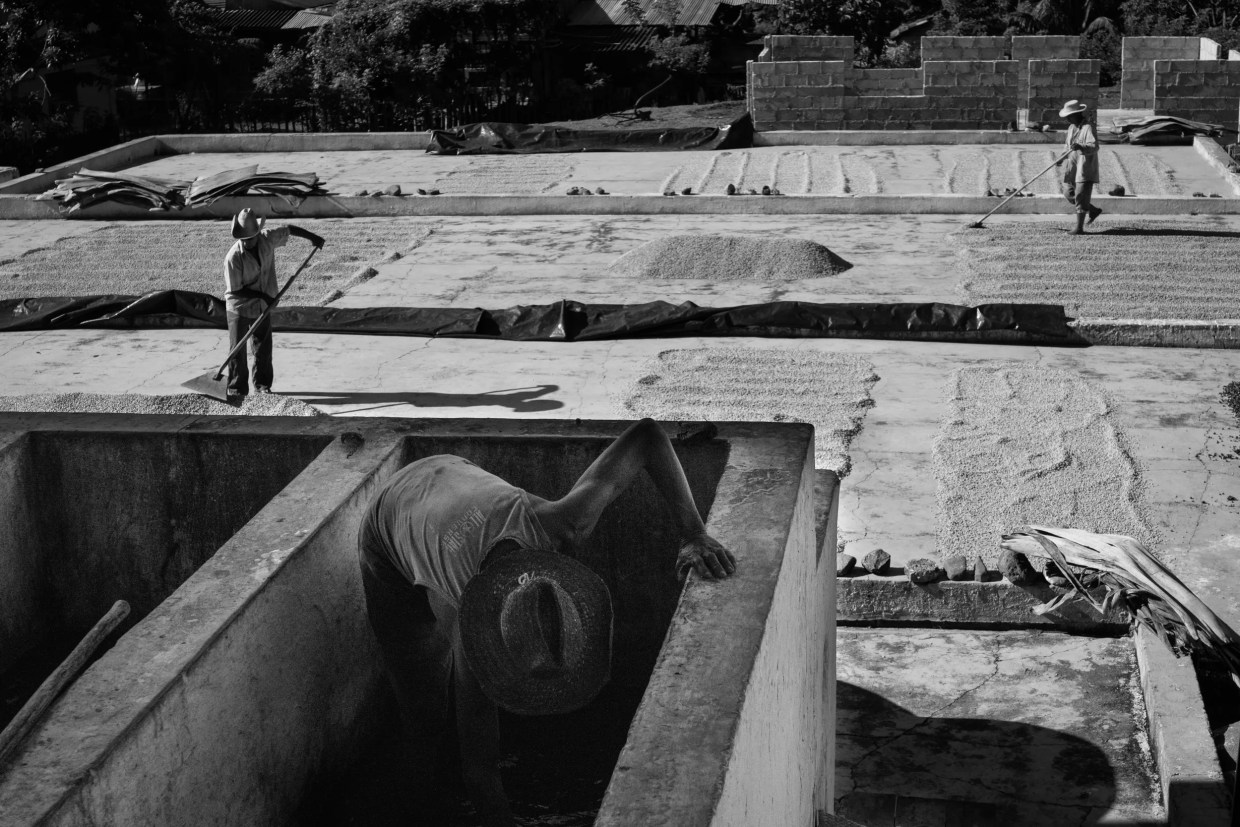 Photographer Richard Sharum Got to the Heart of Cuba Through its Campesino People