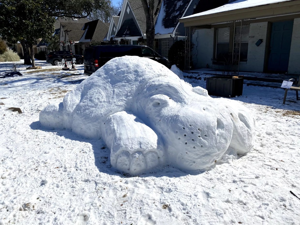 Dallas Artists Show Off Their Snow Storm Creations