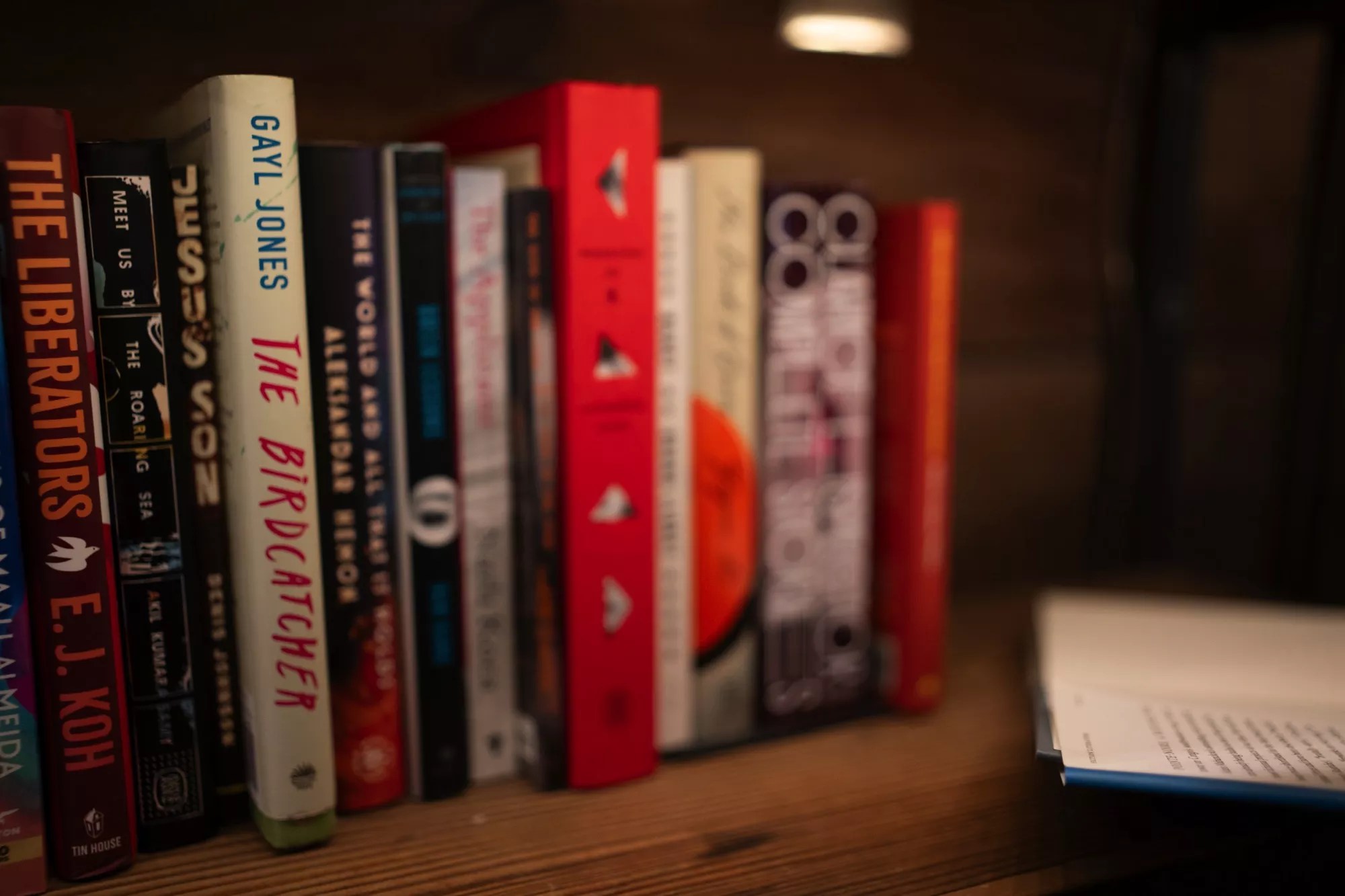 Books shelved at The Wild Detectives in Dallas.